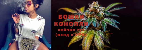 PSILOCYBIN Липки
