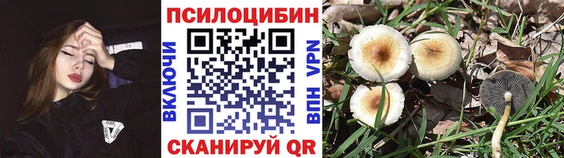 Галлюциногенные грибы мухоморы  Шлиссельбург 